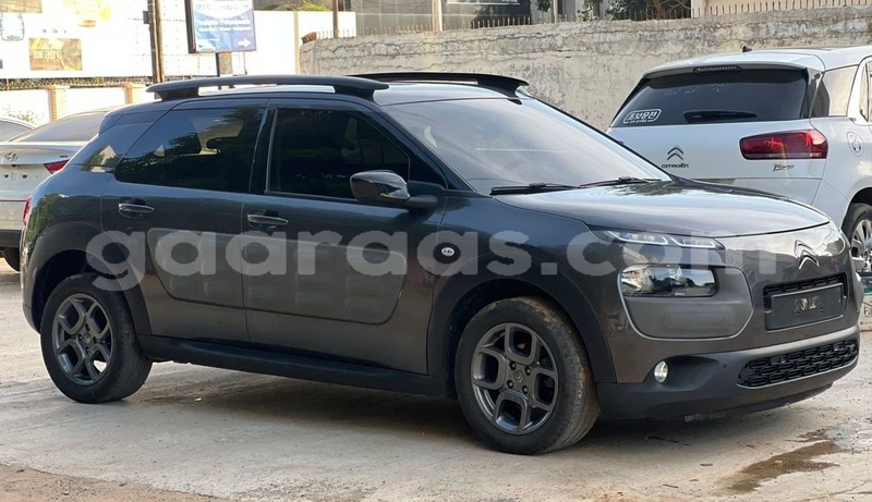 Big with watermark citroen c4 cactus dakar dakar 22921