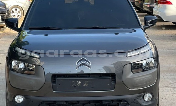 Acheter Occasion Voiture Citroen C4 Cactus Gris à Dakar, Dakar