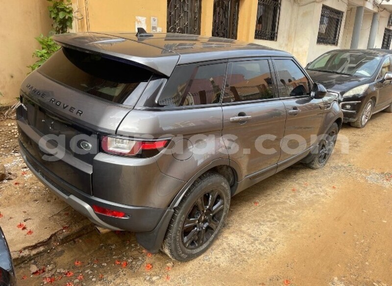 Big with watermark land rover range rover evoque dakar dakar 23257