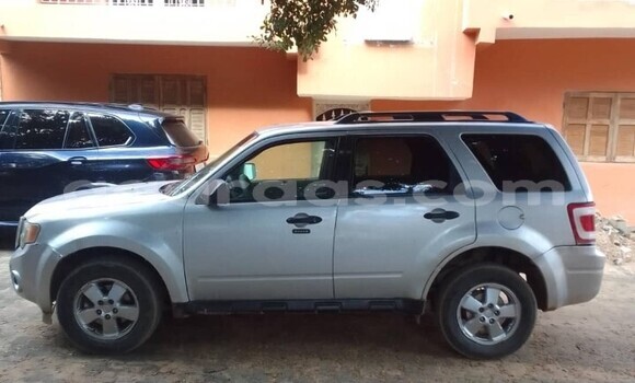 Dieundeu Occasion Ford Escape Silver Auto in Dakar in Dakar Dieundeu Occasion Ford Escape Silver Auto in Dakar in Dakar