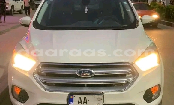 Dieundeu Occasion Ford Escape White Auto in Dakar in Dakar Dieundeu Occasion Ford Escape White Auto in Dakar in Dakar