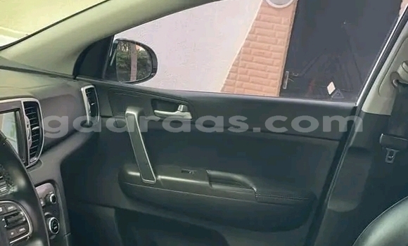 Dieundeu Occasion Kia Sportage White Auto in Dakar in Dakar Dieundeu Occasion Kia Sportage White Auto in Dakar in Dakar