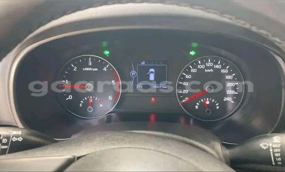 Dieundeu Occasion Kia Sportage White Auto in Dakar in Dakar Dieundeu Occasion Kia Sportage White Auto in Dakar in Dakar