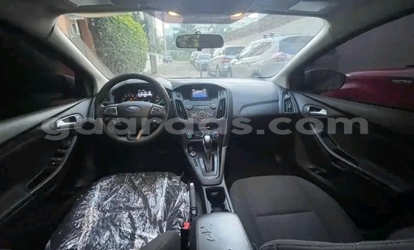Acheter Occasion Voiture Ford Focus Gris à Dakar, Dakar