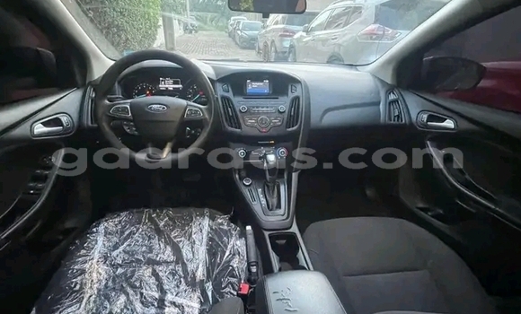 Dieundeu Occasion Ford Focus Silver Auto in Dakar in Dakar Dieundeu Occasion Ford Focus Silver Auto in Dakar in Dakar