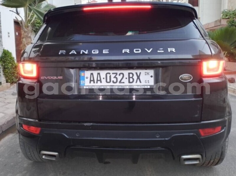 Big with watermark land rover range rover evoque dakar dakar 23684