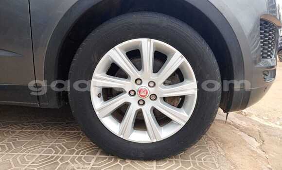 Dieundeu Occasion Jaguar E-Pace Gris de fer Auto in Dakar in Dakar Dieundeu Occasion Jaguar E-Pace Gris de fer Auto in Dakar in Dakar