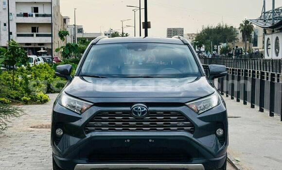 Buy New Toyota RAV4 Silver Car in Dakar in Dakar