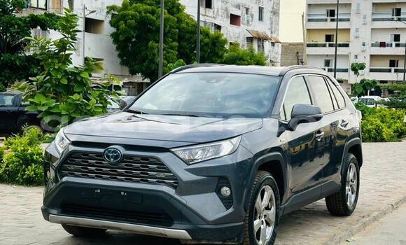 Buy New Toyota RAV4 Silver Car in Dakar in Dakar Buy New Toyota RAV4 Silver Car in Dakar in Dakar