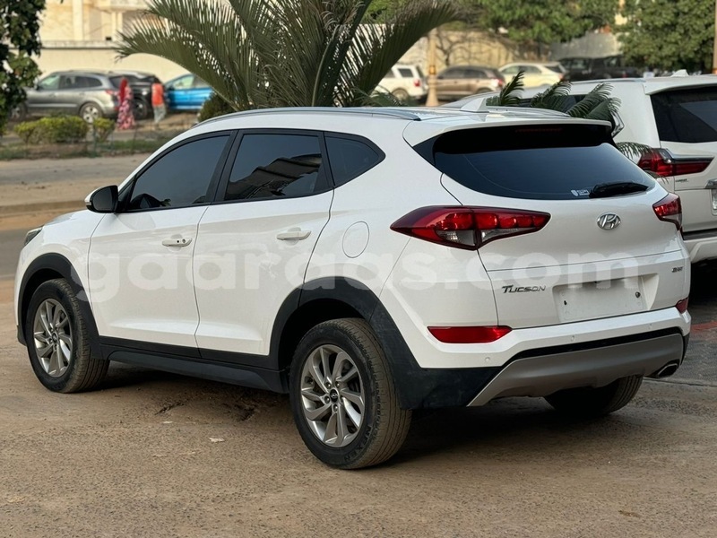 Big with watermark hyundai tucson dakar dakar 24026