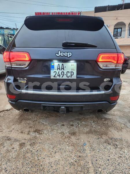 Big with watermark jeep grand cherokee dakar dakar 24085