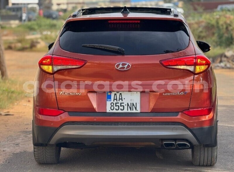 Big with watermark hyundai tucson dakar dakar 24086