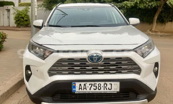 Buy New Toyota RAV4 White Car in Dakar in Dakar Buy New Toyota RAV4 White Car in Dakar in Dakar
