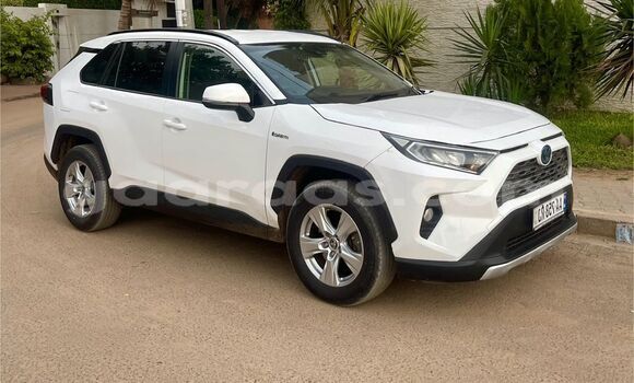 Buy New Toyota RAV4 White Car in Dakar in Dakar Buy New Toyota RAV4 White Car in Dakar in Dakar