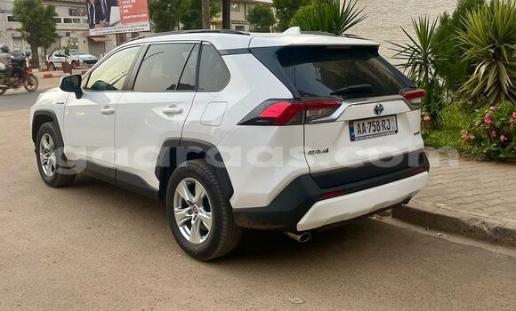 Buy New Toyota RAV4 White Car in Dakar in Dakar Buy New Toyota RAV4 White Car in Dakar in Dakar