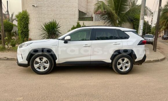 Buy New Toyota RAV4 White Car in Dakar in Dakar Buy New Toyota RAV4 White Car in Dakar in Dakar