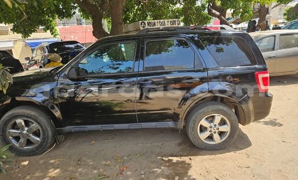 Dieundeu Occasion Ford Escape Black Auto in Dakar in Dakar Dieundeu Occasion Ford Escape Black Auto in Dakar in Dakar