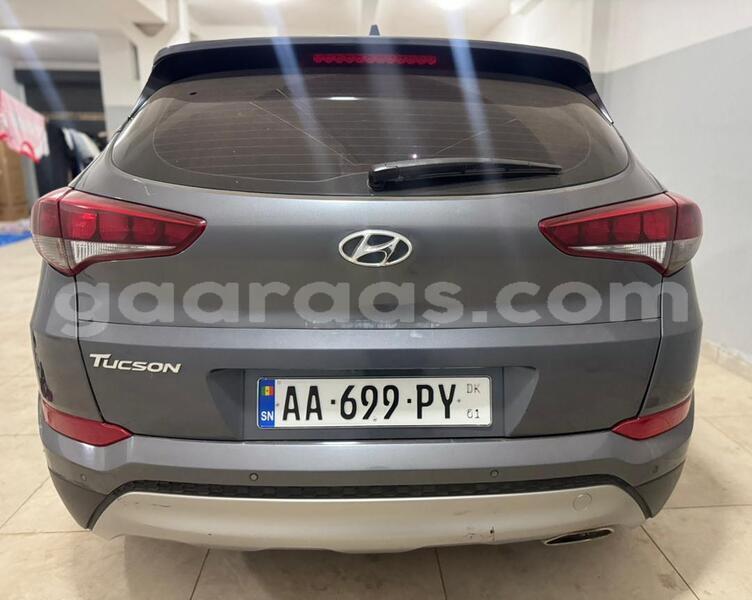 Big with watermark hyundai tucson dakar dakar 24222