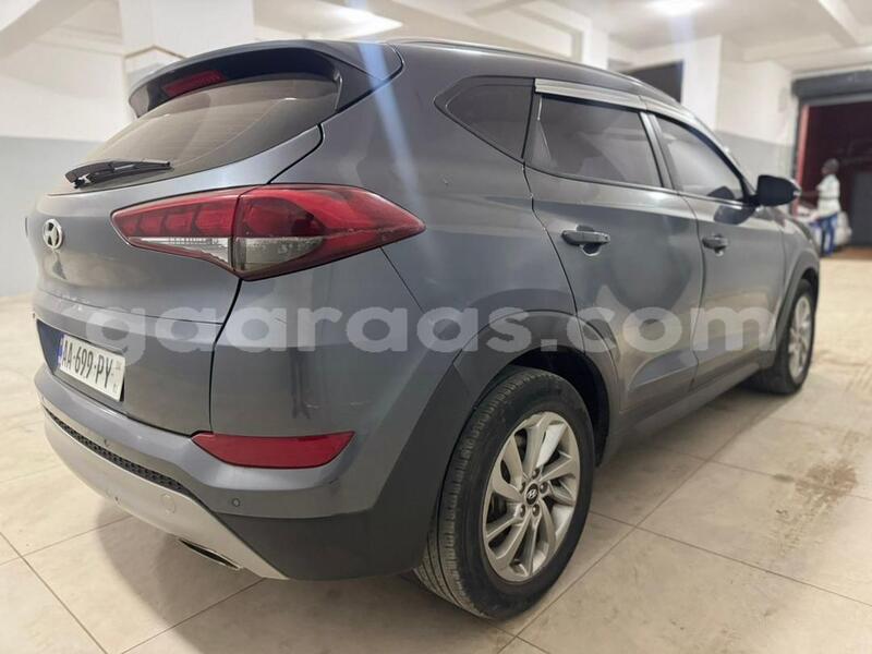 Big with watermark hyundai tucson dakar dakar 24222