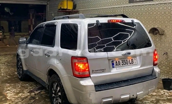 Dieundeu Occasion Ford Escape White Auto in Dakar in Dakar Dieundeu Occasion Ford Escape White Auto in Dakar in Dakar