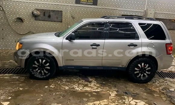 Dieundeu Occasion Ford Escape White Auto in Dakar in Dakar Dieundeu Occasion Ford Escape White Auto in Dakar in Dakar