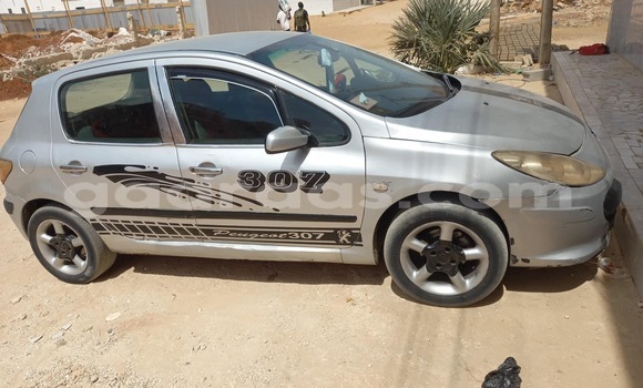 Acheter Occasion Voiture Peugeot 307 Gris à Thiès, Région de Thiès