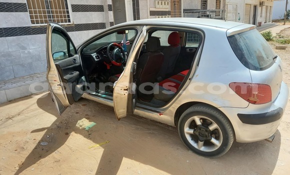 Acheter Occasion Voiture Peugeot 307 Gris à Thiès, Région de Thiès Acheter Occasion Voiture Peugeot 307 Gris à Thiès, Région de Thiès