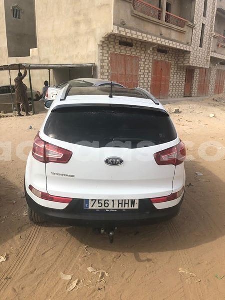 Big with watermark 61587285 2355309994753657 3595387676909371392 n