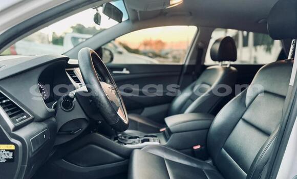 Buy Import Hyundai Tucson White Car in Dakar in Dakar Buy Import Hyundai Tucson White Car in Dakar in Dakar