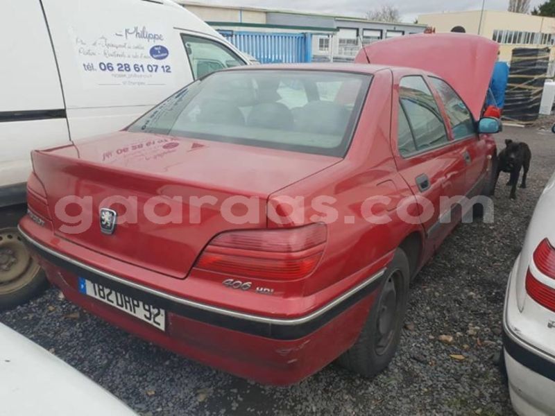 Big with watermark 60799569 2350967841854539 1313206123565678592 o