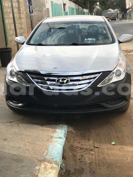 Big with watermark 60618346 2348242895460367 7851141814122708992 n