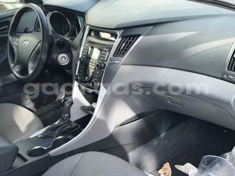 Big with watermark 60920657 2348243022127021 8487136959246893056 o