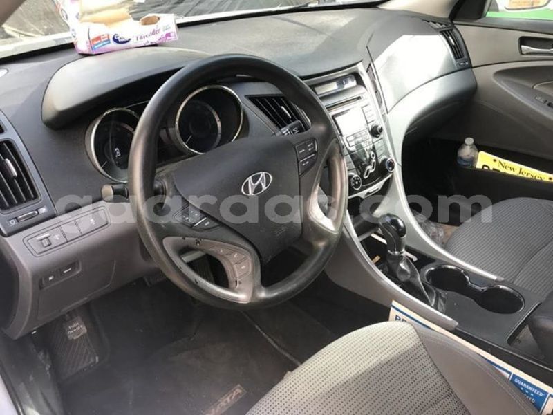 Big with watermark 60449212 2348242985460358 206071701933391872 o