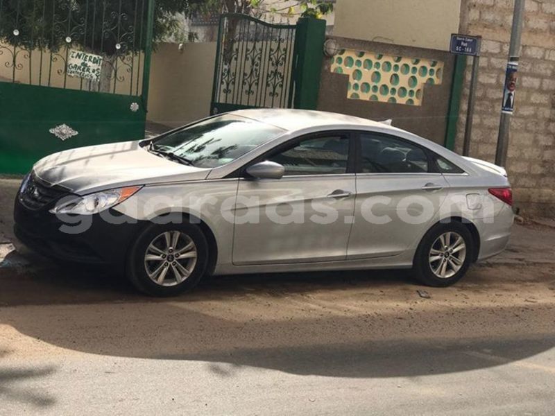 Big with watermark 60406626 2348242885460368 1337346936440619008 o