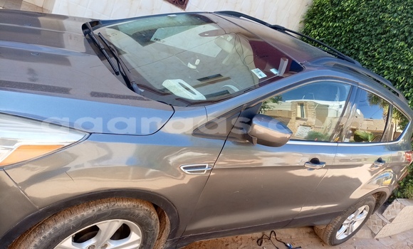 Acheter Occasion Voiture FORD MUSTANG Gris à Dakar, Dakar