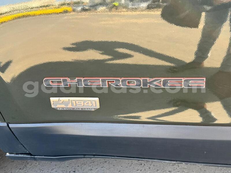 Big with watermark jeep cherokee dakar dakar 24902