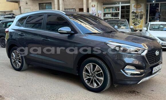 Dieundeu Occasion Hyundai Tucson Silver Auto in Dakar in Dakar Dieundeu Occasion Hyundai Tucson Silver Auto in Dakar in Dakar