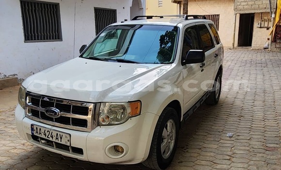 Acheter Occasion Voiture Ford Escape Blanc à Dakar, Dakar