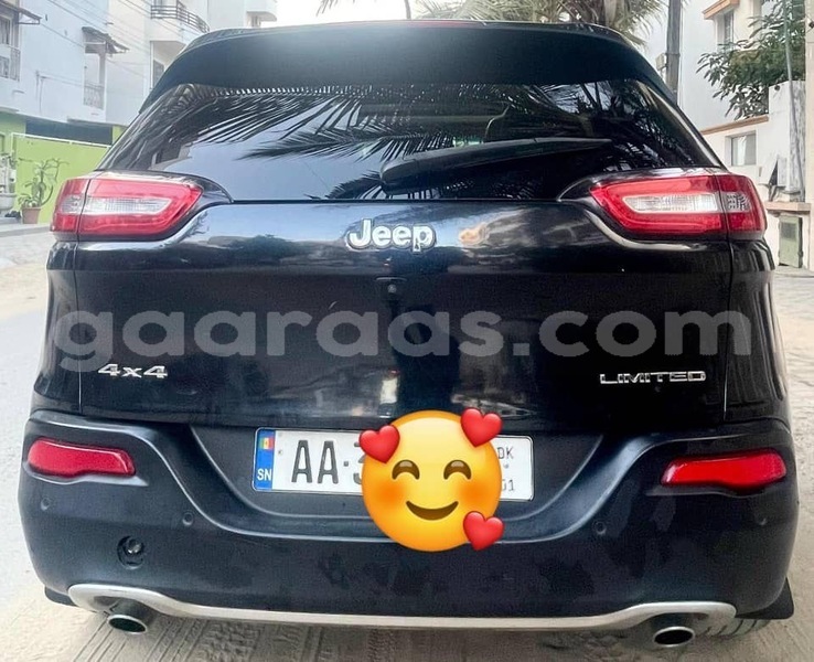 Big with watermark jeep cherokee dakar damniadio 25330