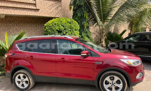 Buy Used Ford Escape Red Car in Dakar in Dakar Buy Used Ford Escape Red Car in Dakar in Dakar