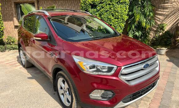 Buy Used Ford Escape Red Car in Dakar in Dakar Buy Used Ford Escape Red Car in Dakar in Dakar