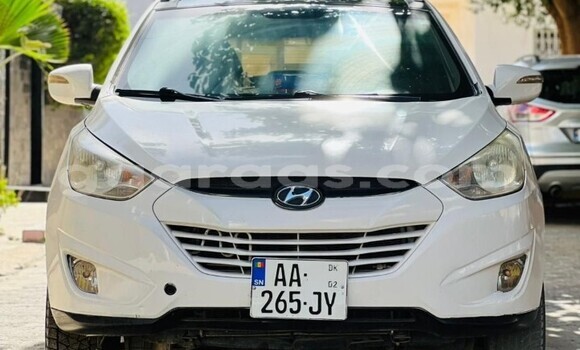 Dieundeu Occasion Hyundai Tucson White Auto in Dakar in Dakar Dieundeu Occasion Hyundai Tucson White Auto in Dakar in Dakar