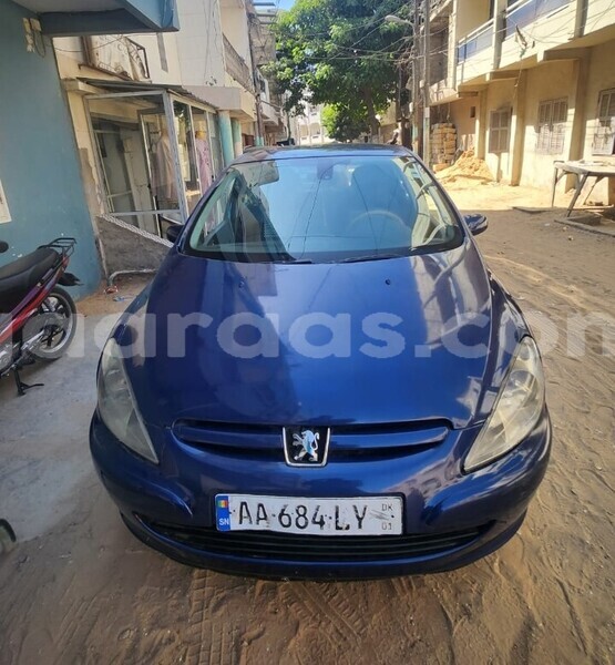 Big with watermark peugeot 307 dakar dakar 25583