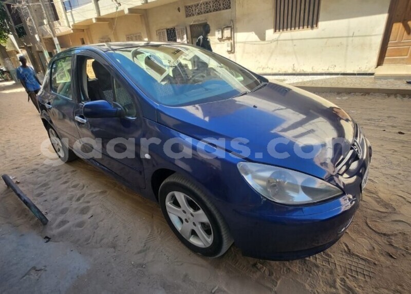 Big with watermark peugeot 307 dakar dakar 25583