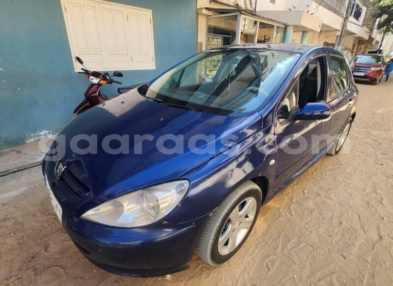 Big with watermark peugeot 307 dakar dakar 25583