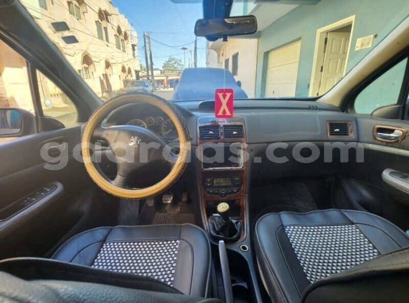 Big with watermark peugeot 307 dakar dakar 25583