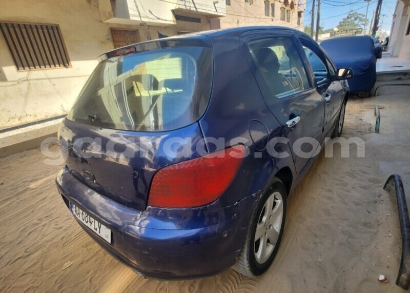 Big with watermark peugeot 307 dakar dakar 25583