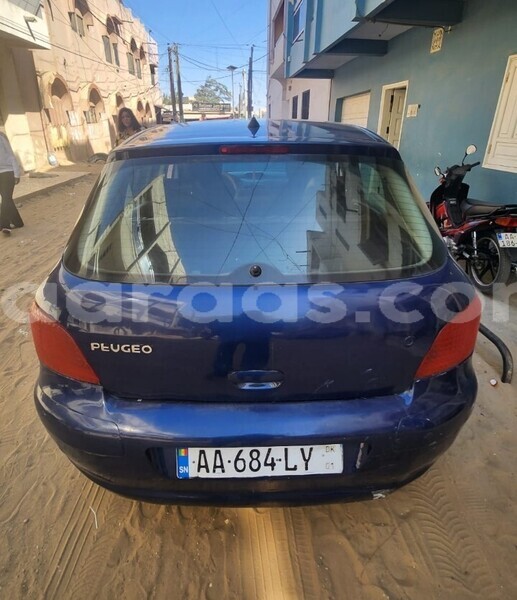 Big with watermark peugeot 307 dakar dakar 25583