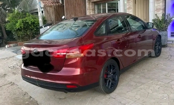 Dieundeu Occasion Ford Focus Red Auto in Dakar in Dakar Dieundeu Occasion Ford Focus Red Auto in Dakar in Dakar