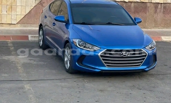 Buy Used Hyundai Elantra Bue Car in Dakar in Dakar Buy Used Hyundai Elantra Bue Car in Dakar in Dakar
